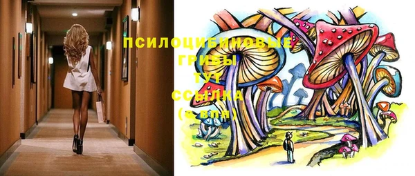 mdma Няндома