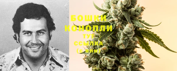 a pvp Новодвинск