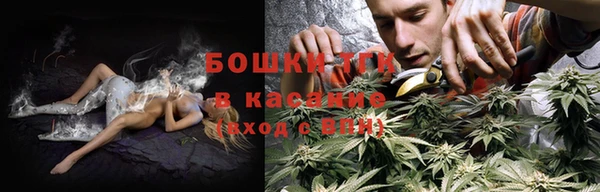 молекула духа Нязепетровск