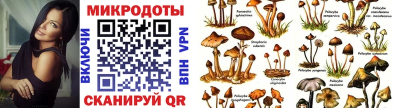 Псилоцибиновые грибы Psilocybine cubensis  купить наркотики сайты  Киреевск 