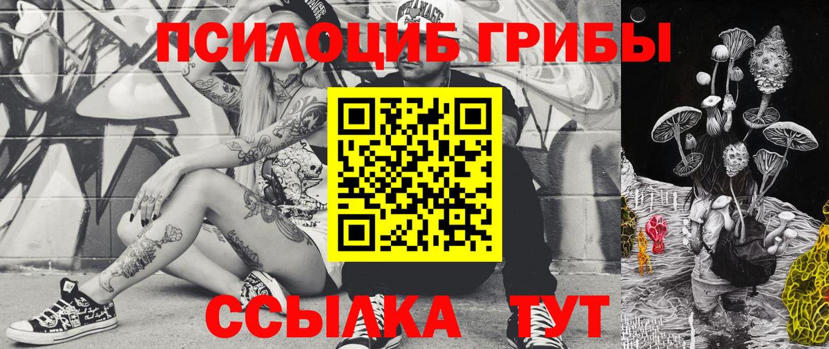 Галлюциногенные грибы Cubensis  где купить наркоту  Киреевск 