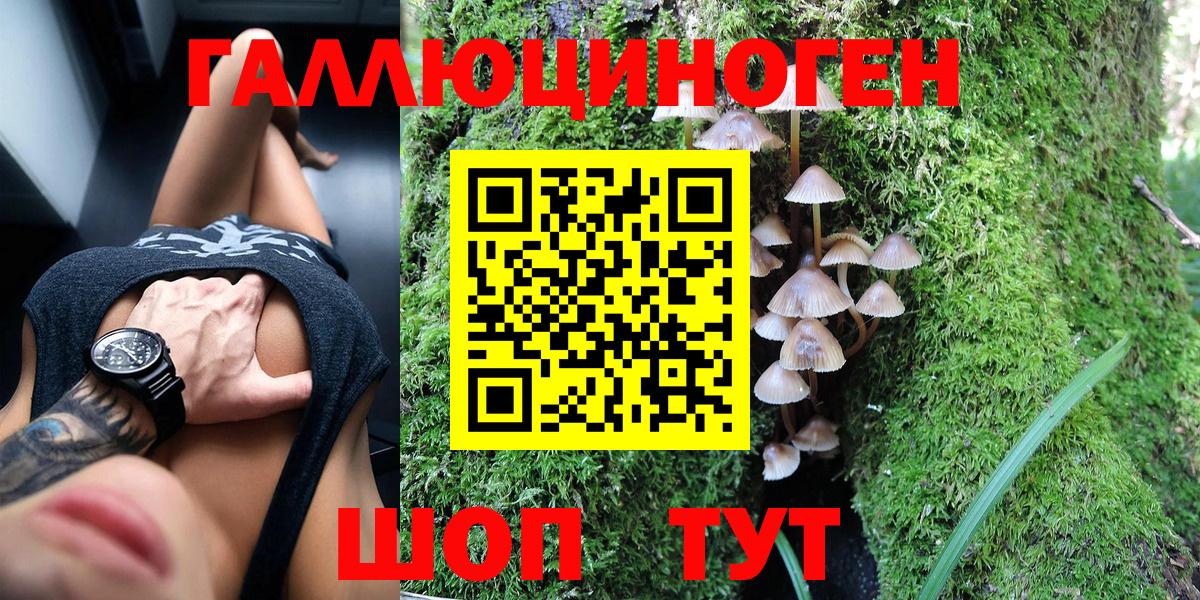 Галлюциногенные грибы Cubensis Киреевск